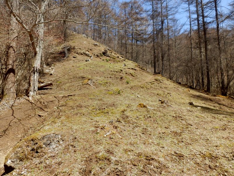 「お弁当の丘」