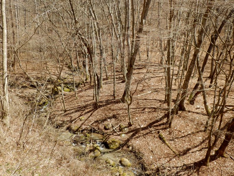 あそこに行けたらいいな