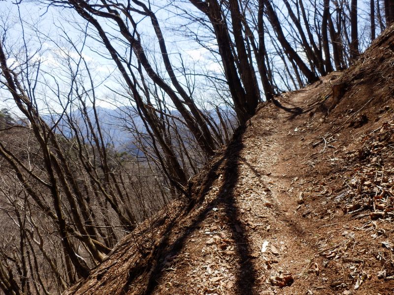 分岐点からちょっと登る