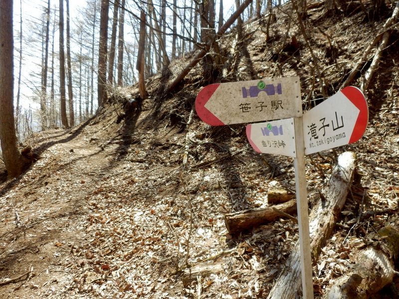 曲り沢峠へと直進