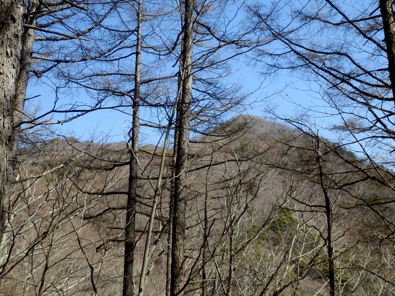 p4192764.jpg (large)