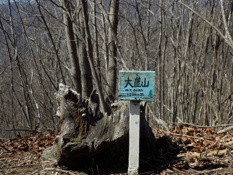 大鹿山、私製の標識