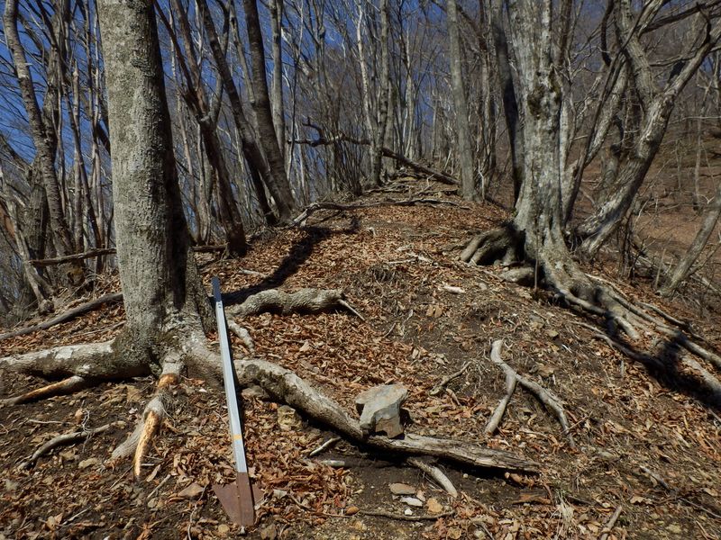 大鹿山取り付き