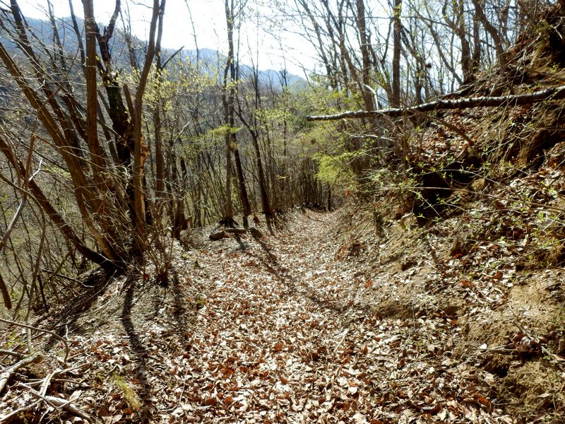 落ち葉の滑り台