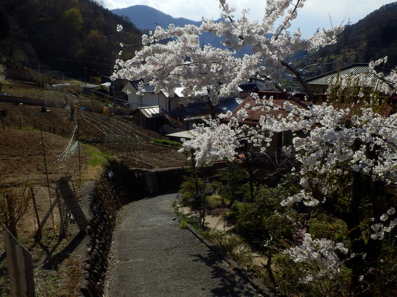 田野集落に下りて行く