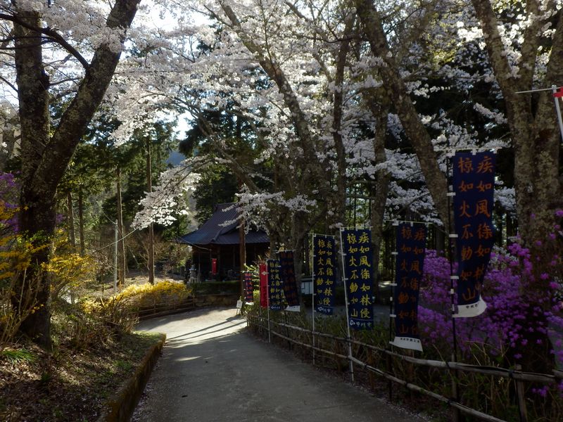 ここはカラフル