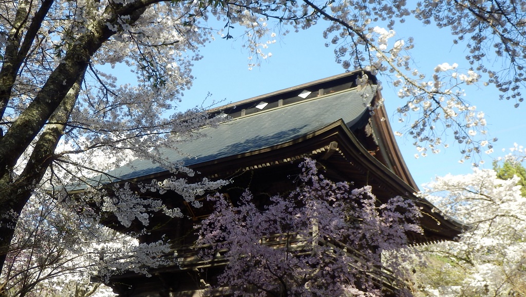 甲州市指定の天然記念物