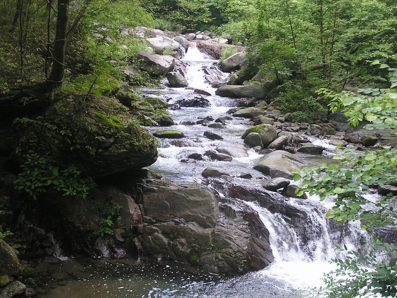 大蔵高丸・ハマイバ丸 -- 真木川