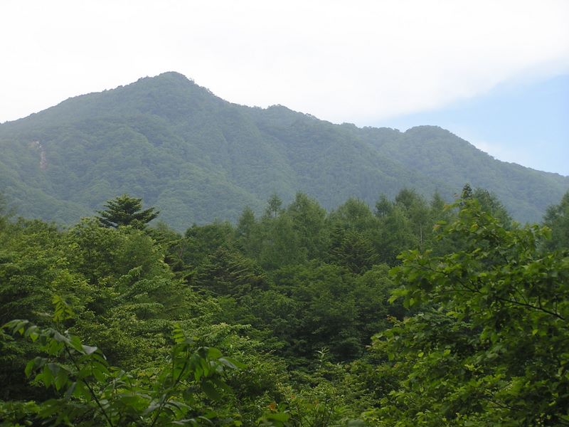 大蔵高丸・ハマイバ丸 -- 真木川林道より、左ハマイバ丸、右大蔵高丸