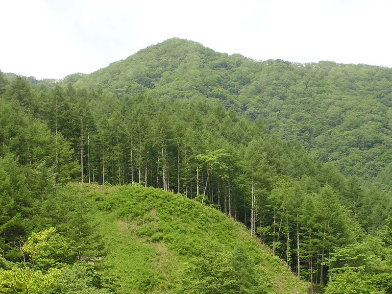 大蔵高丸・ハマイバ丸 -- 大蔵高丸が近づく