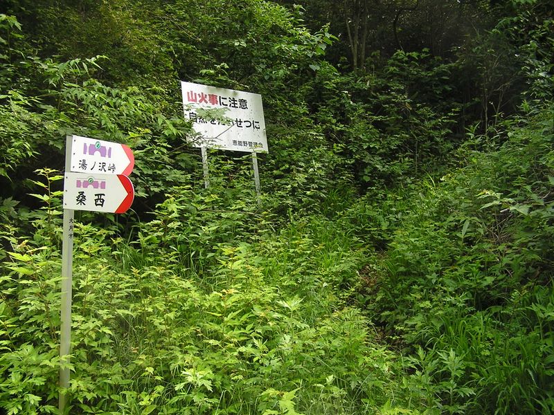 大蔵高丸・ハマイバ丸 -- これより藪の道を登る