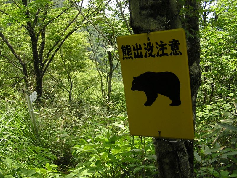 大蔵高丸・ハマイバ丸 -- 湯ノ沢峠まであと1分