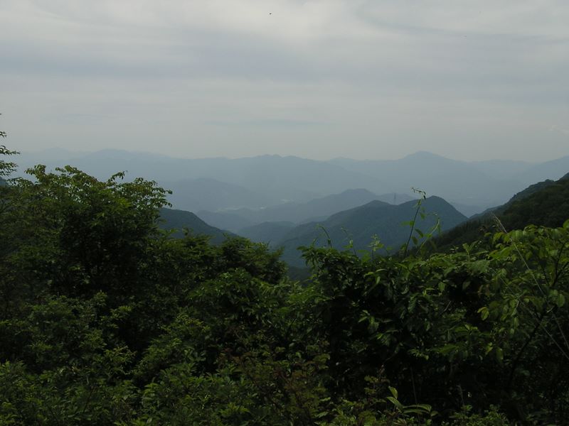 大蔵高丸・ハマイバ丸 -- 湯ノ沢峠より南方を望む