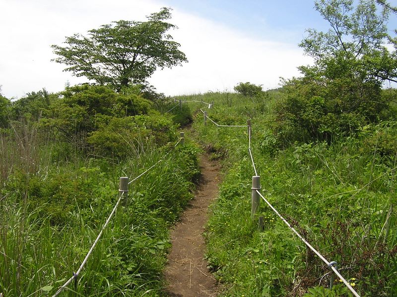 大蔵高丸・ハマイバ丸 -- これよりお花畑