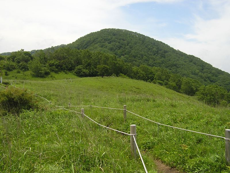 大蔵高丸・ハマイバ丸 -- お花畑より大蔵高丸