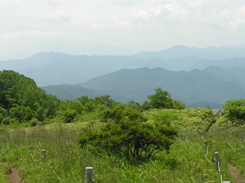 大蔵高丸・ハマイバ丸 -- 大蔵高丸山頂より富士の裾野を望む