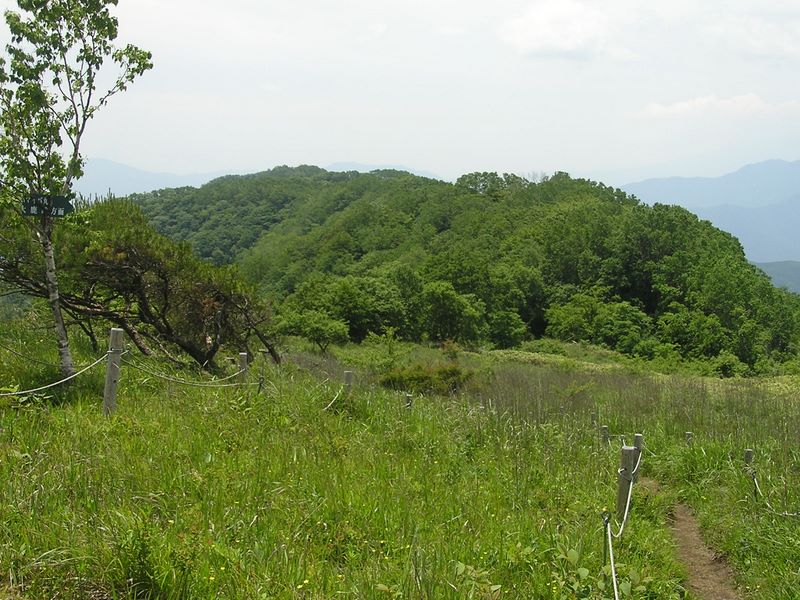 大蔵高丸・ハマイバ丸 -- 大蔵高丸よりハマイバ丸を望む