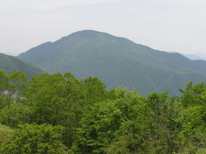 大蔵高丸・ハマイバ丸 -- ハマイバ丸北尾根より雁ヶ腹摺山を望む