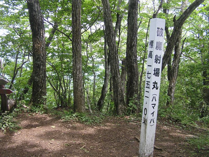 大蔵高丸・ハマイバ丸 -- ハマイバ丸山頂