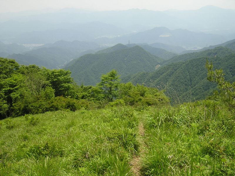 大蔵高丸・ハマイバ丸 -- ハマイバ丸山頂南斜面より真木川方面への道か？