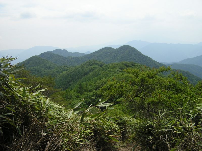 大蔵高丸・ハマイバ丸 -- ハマイバ丸から大谷ヶ丸方面を望む