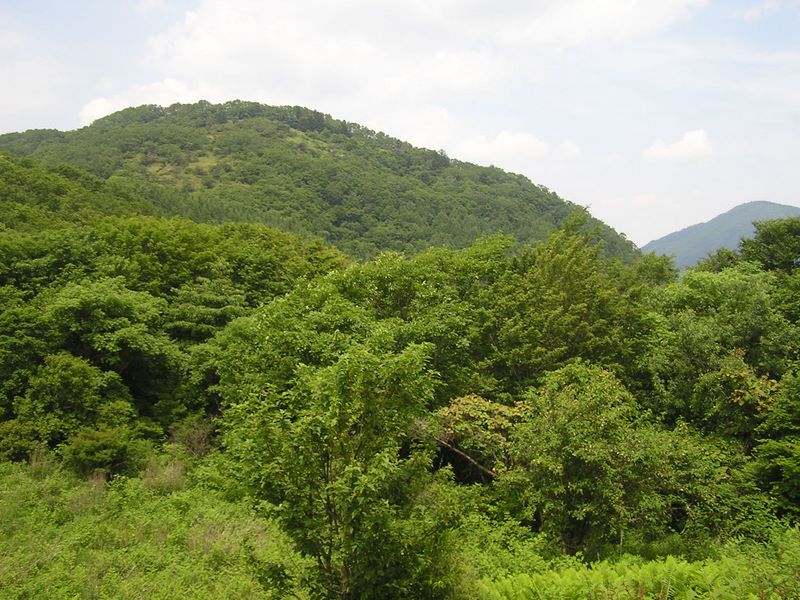 大蔵高丸・ハマイバ丸 -- ハマイバ丸を振り返る