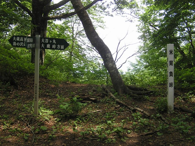 大蔵高丸・ハマイバ丸 -- 米背負峠で小休止