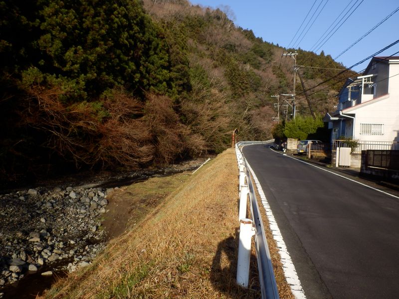 虫沢川沿いの道