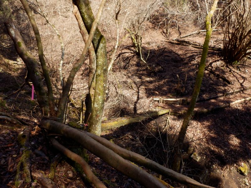 ヒネゴ沢左岸に戻る