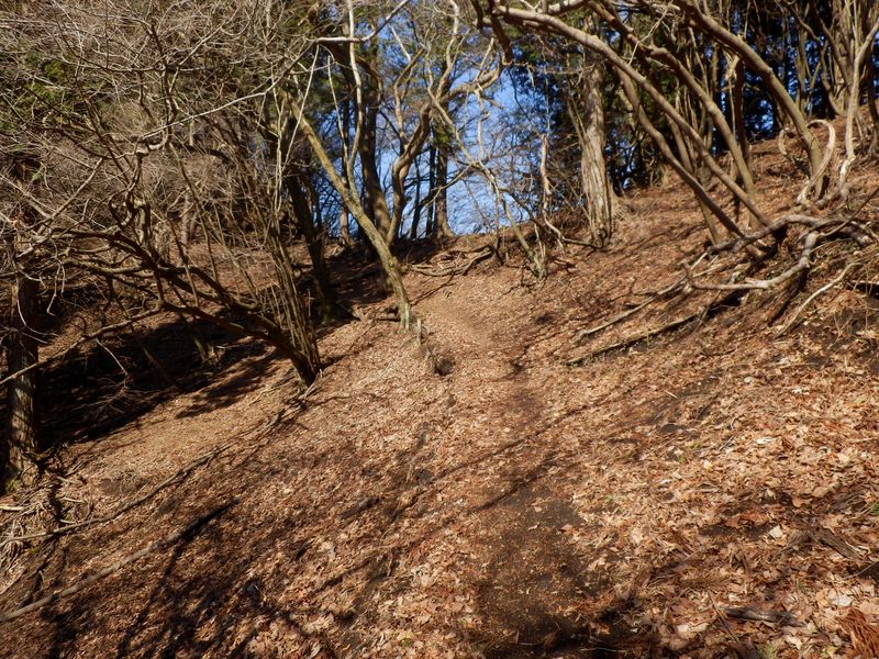 ヒネゴ沢乗越が見えた！