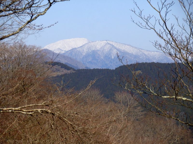 はなじょろ道を下る