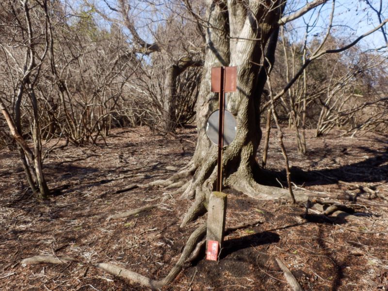 神奈川県の第四号石柱