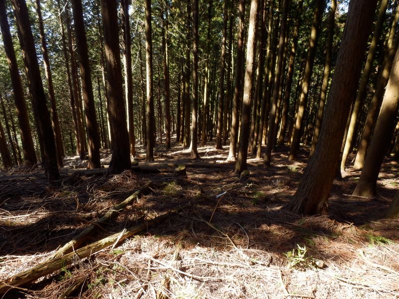 西方に尾根を下る