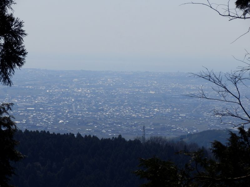 相模湾が見えた