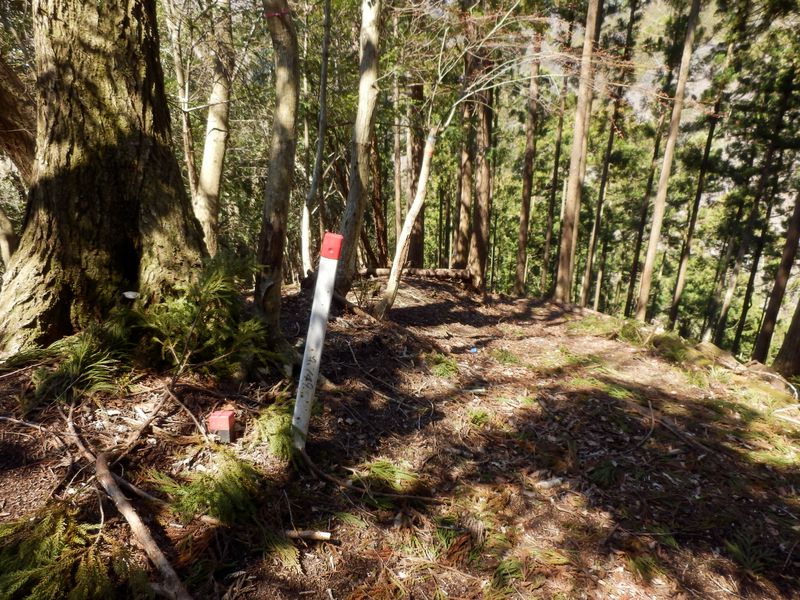 1本北の尾根に移動