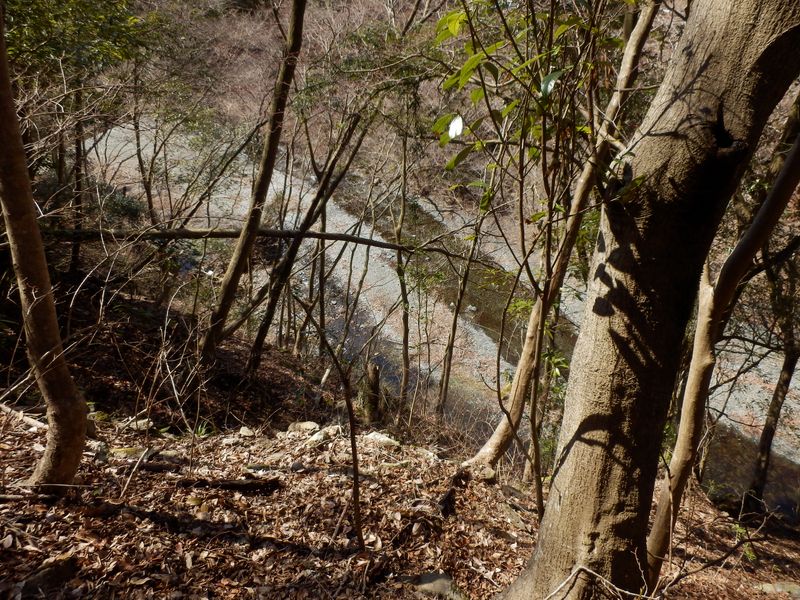 下方に皆瀬川が見える