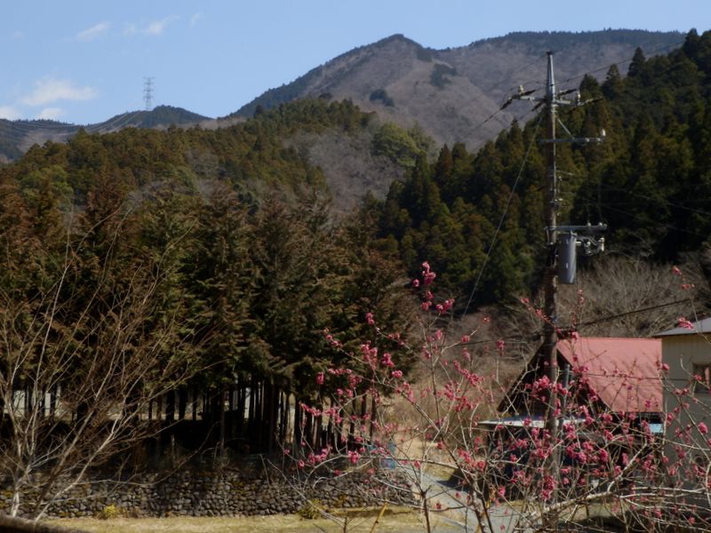 諸施設のある車道を右に分ける