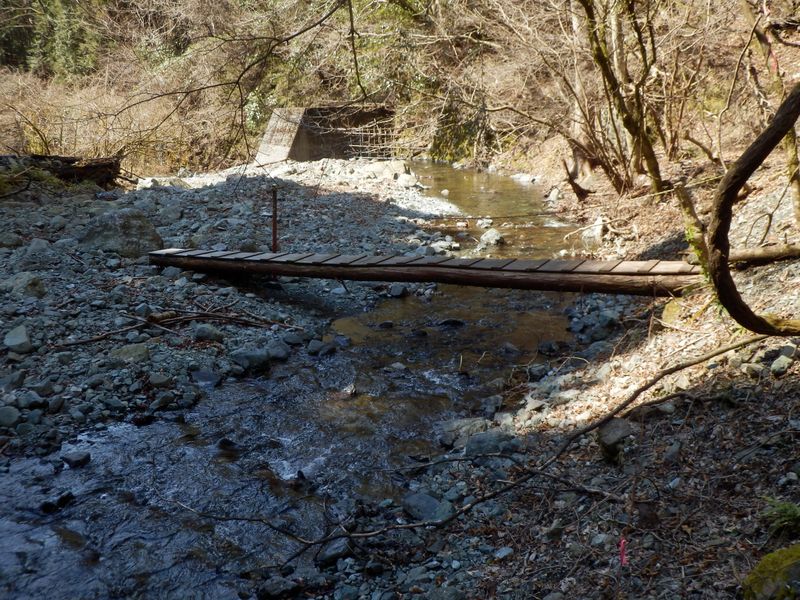 あの木橋を渡って左岸へ