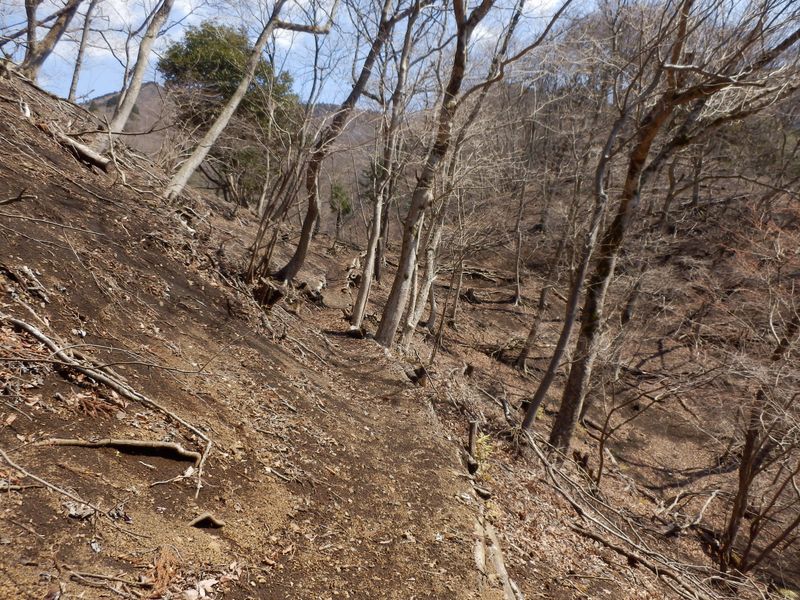 はなじょろ道も、ここは日当たりがよい