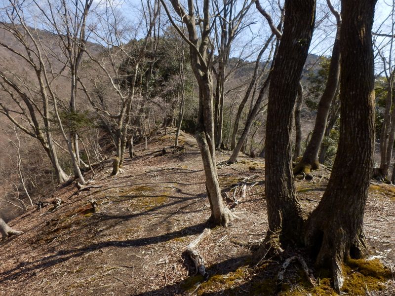日当たりのよい尾根