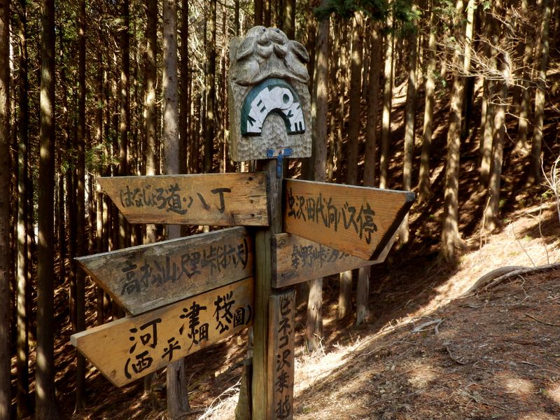 ヒネゴ沢乗越に戻って来た