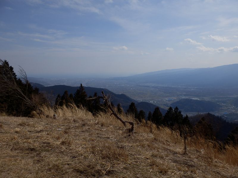 酒匂川が太平洋に注ぐ