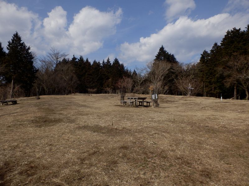 高松山の山頂広場を独占