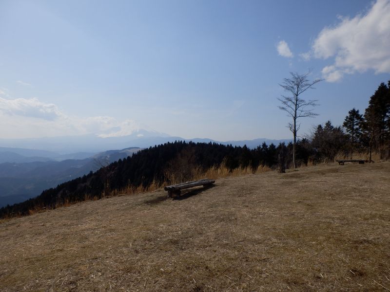 富士山と大野山も