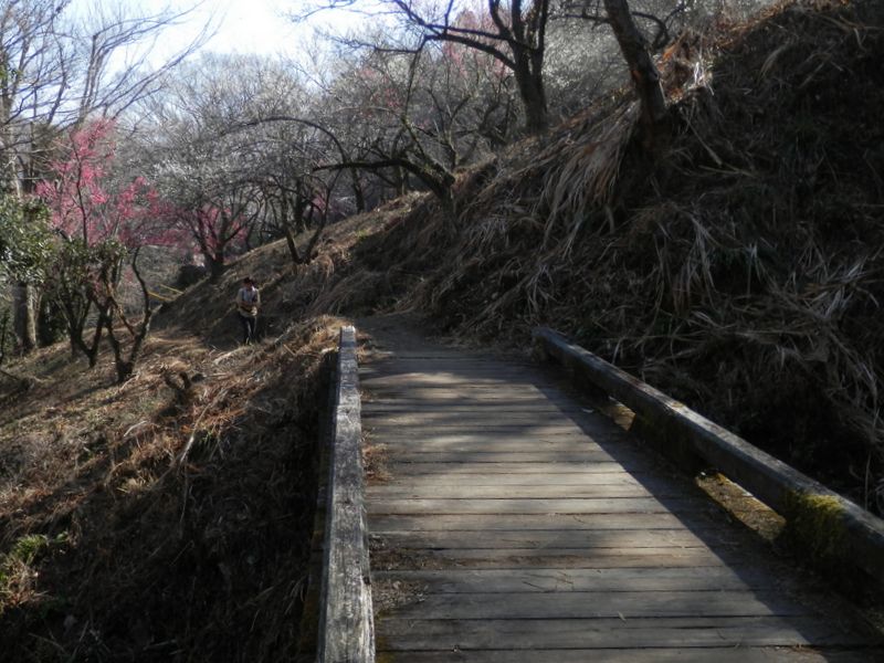 天神梅林の架け橋