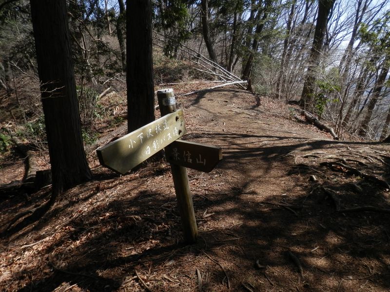 景信山東尾根に乗る