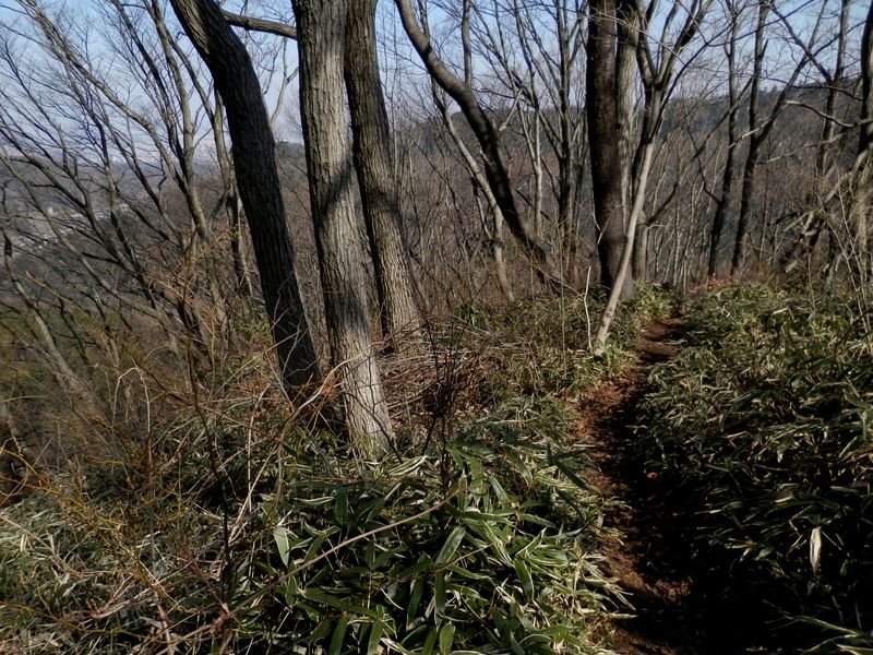 左に中央自動車道が見え、走行音が聞こえる