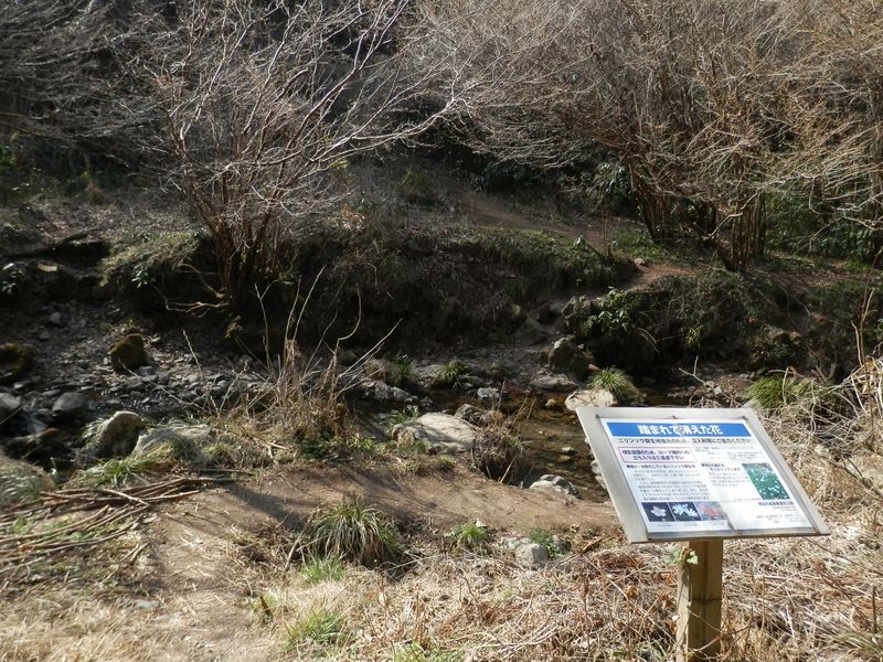 日影沢林道より、対岸の下山して来た道を振り返る