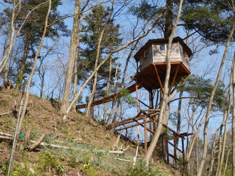 ツリーハウス