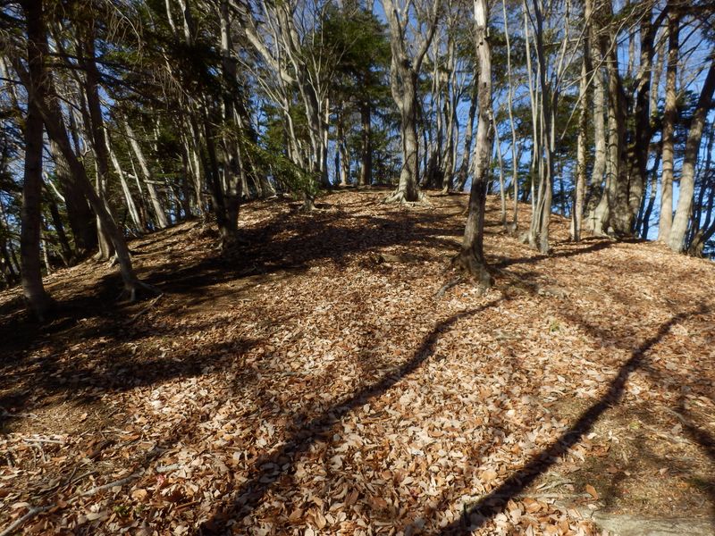 落ち葉を踏みしめながら春ノ木丸山頂へ